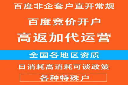 百度竞价排名服务：实战案例解析与优化技巧